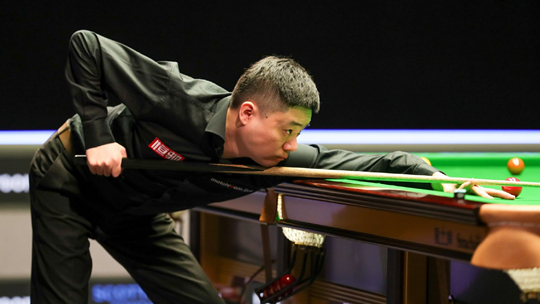 球生态需要 球生态需要