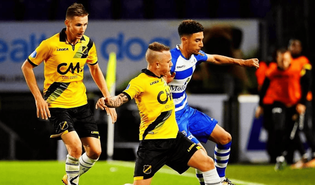 和观赏性 和观赏性